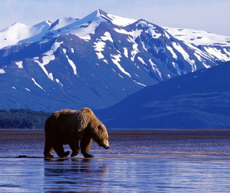 المرتبة الثامنة والعشرون : ولاية ألاسكا الامريكية Alaska تتميز الاسكا بما يطلق عليه الضوء الشمالي وهو عبار عن ضوء متحرك يظهر في السماء ليلا سبحان الله، ويتحرك في عدة اتجاهات 