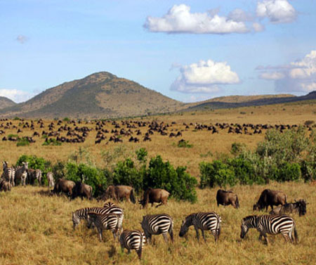 المرتبة الثانية والثلاثون Masai Mara — Kenya ماساي مارا في كينيا احد اكبر المحميات الطبيعية في العالم  لما تحتوية من منتجعات وفنادق على الطراز الأفريقي وتنظيم رحلات السفاري والصيد داخلها