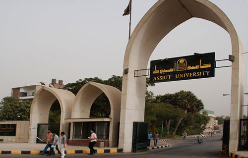 تعيين  المنشاوي  نائبا لرئيس جامعة أسيوط لشئون الدراسات العليا والبحوث - 