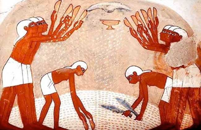 تاريخ تخزين الغلال في مصر القديمة من صوامع يوسف إلى صوامع الرمسيوم بوابة الأهرام