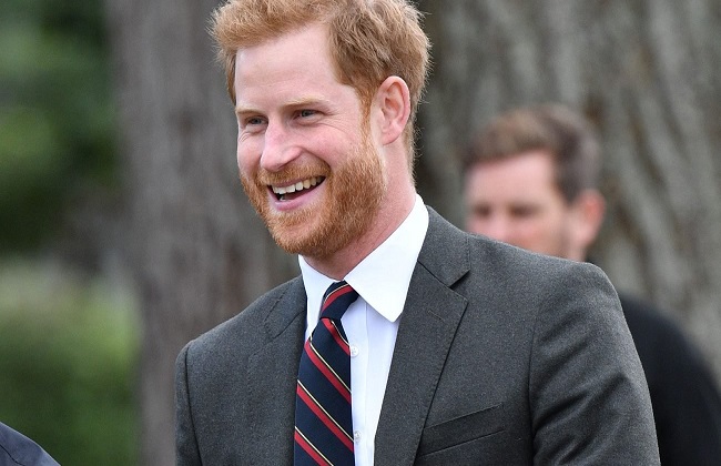 الأمير هاري يكشف النقاب عن نصب تذكاري بريطاني لضحايا هجومين في تونس 