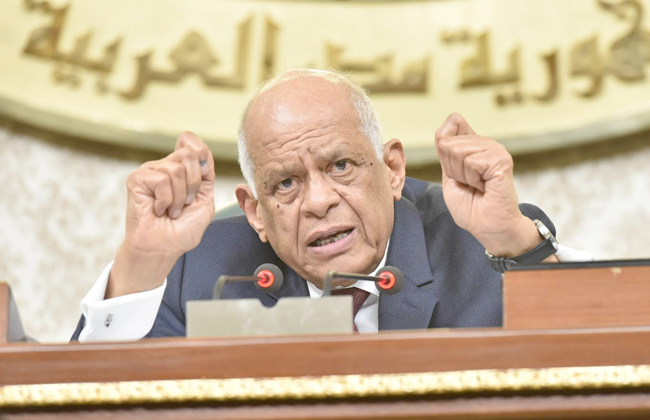 ردا على وزير التموين.. عبدالعال: البرلمان لا يقبل أي إهانة للشعب المصري من أي مسئول - 