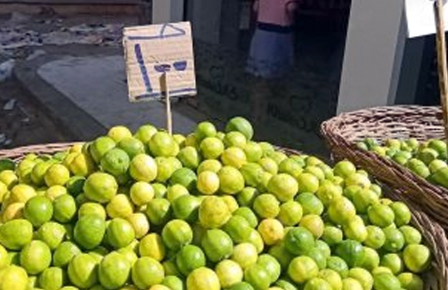 خبراء يكشفون سر جنون الليمون ونقيب الفلاحين انخفض 50 ويصل لسعره الطبيعي خلال أيام بوابة الأهرام
