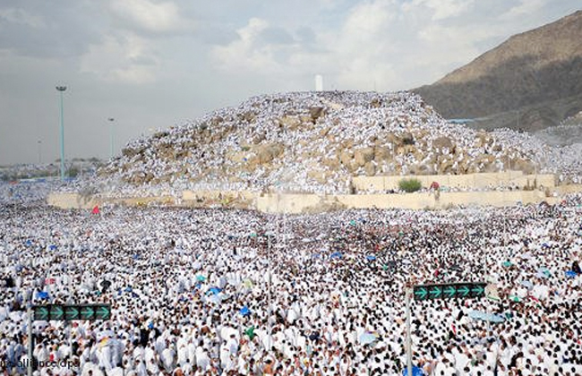 السياحة  تتابع تفويج الحج السياحي إلى عرفات.. وتسهيلات كبيرة للمرضى وكبار السن وذوي الاحتياجات - 