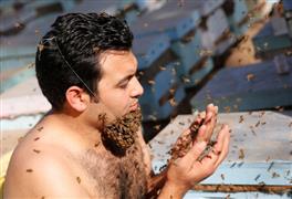 مصري يؤدي مغامرة "لحية النحل" قبل المهرجان الزراعي في شبين الكوم بالمنوفية