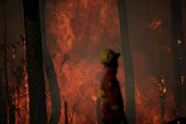 حريق ضخم بالغابة الوطنية في البرازيل