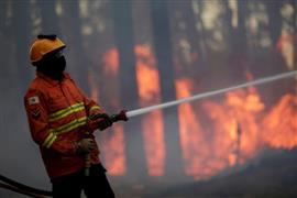 حريق ضخم بالغابة الوطنية في البرازيل