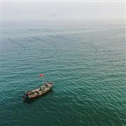 صيادون يرسمون غروب الشمس بالقوارب فى الصين