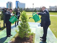 الرئيس السيسي يشارك رئيس بيلاروسيا في زرع شجرة صداقة بحديقة القصر الرئاسي بمينسك