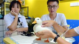 مقهى تحت عنوان "حيوانات أليفة" يفتح في جنوب غرب الصين