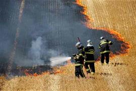 حريق حقول القمح فى فرنسا