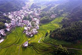 صور مذهلة لمدرجات حقول الأرز الجميلة في مقاطعة قويتشو غربي الصين