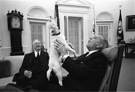 الحيوانات الرئاسية الأليفة فى البيت الأبيض على مر السنين