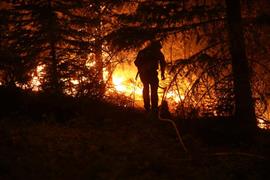 حرائق في مناطق متفرقة من غابات كاليفورنيا
