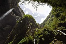 اكتشاف غابة بدائية في قوانغشي الصينية 