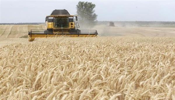 بولندا تؤكد مجددًا استعدادها لمساعدة أوكرانيا في تصدير محصولها من الحبوب