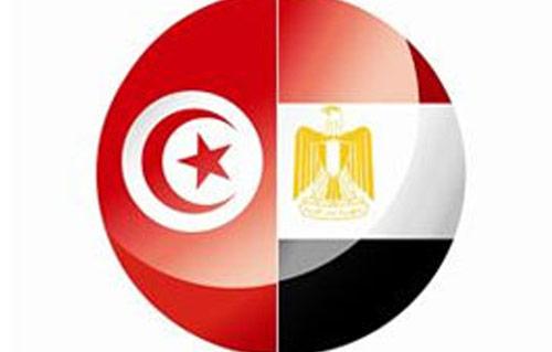 مصر وتونس ضمن مبادرة علاقات ثقافية  يونيو