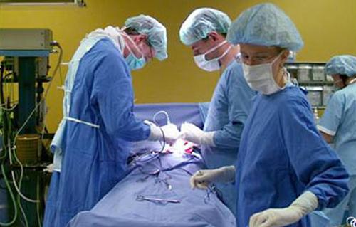 إجراء عمليات القلب المفتوح والرمد مجانا للفلاحين بالمنوفية
