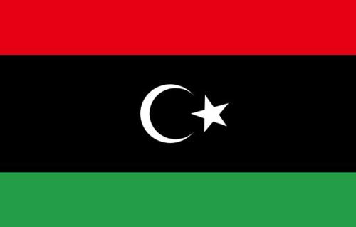 الإخوان المسلمون يدعون إلى انتخابات مبكرة في ليبيا