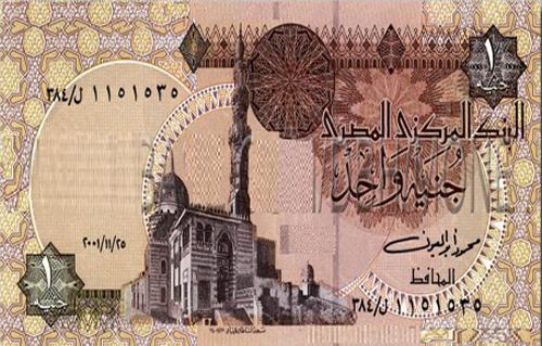 تراجع سعر الجنيه ينعش التمويل العقاري في مصر