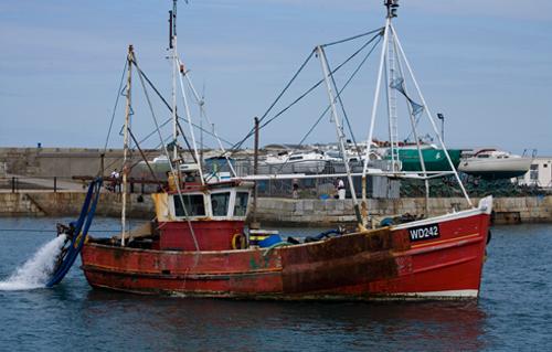 شيخ الصيادين بالسويس العثور على معدات سفينة الصيد المفقودة ياسين الزهيري 