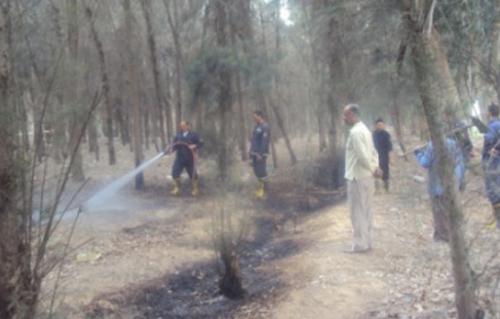 قوات الإطفاء بالسويس تسيطر على حريق بالغابة الشجرية أمام معمل تكرير بترول 