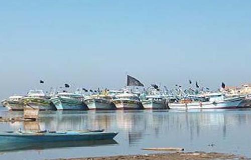 وزير الرى  مليون جنيه منحة من البنك الدولى للتحكم فى حركة الطمى ببحيرة ناصر