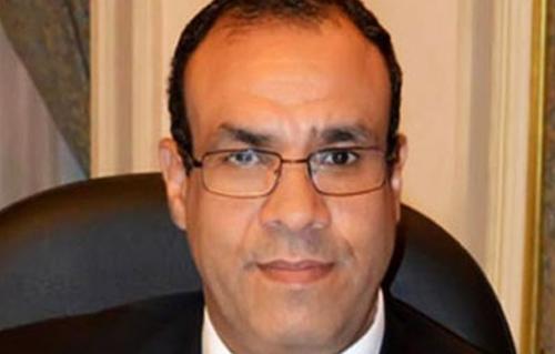 سفير مصر بألمانيا لـبوابة الأهرام نقل الاقتراع بالانتخابات الرئاسية على الهواء مباشرة