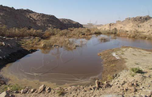 محافظ بنى سويف يوجه بسرعة شفط مياه الصرف من بياض العرب