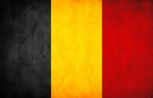 بلجيكا تحظر بيع  مواد كيميائية تدخل في صناعة مواد متفجرة