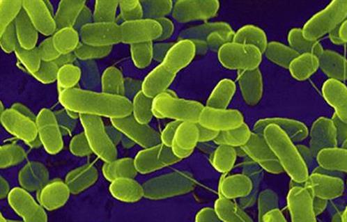 نصائح لتقليل ظهور البكتبريا المقاومة لمضادات الميكروبات 
