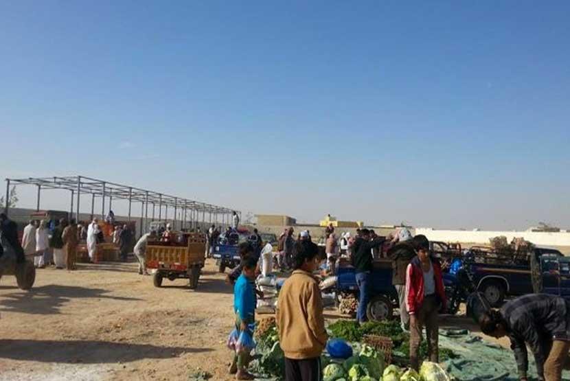 عودة الحياة لسوق الماشية في بيلا بكفر الشيخ وسط إجراءات احترازية مشددة -  بوابة الأهرام