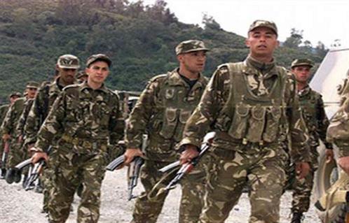 الجيش الجزائري يعتقل إرهابيين اثنين جنوب البلاد