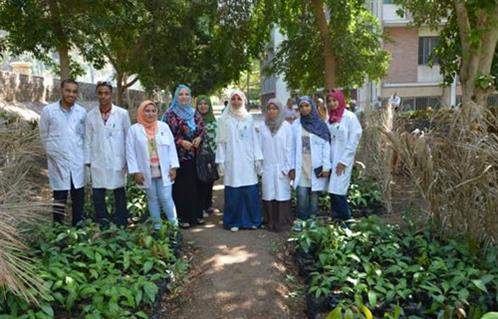 بالصور.. زراعة شتلات المانجو داخل جامعة أسيوط ضمن مشروع غرس الأشجار المثمرة  - بوابة الأهرام