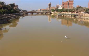 بالصور عكارة النيل تصل الشرقية وتُوقف عددًا من محطات المياه عن الخدمة