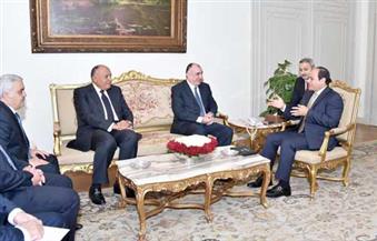 رسالة للرئيس السيسي من علييف وشكري يلتقي وزير خارجية أذربيجان