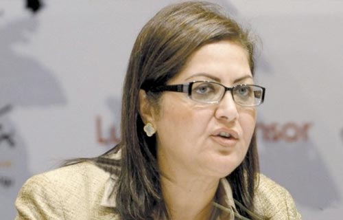 وزيرة التخطيط سيناء في قلب خطط التنمية بمصر
