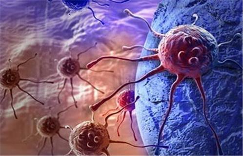 أسباب تكاثر الخلايا السرطانية في الجسم وطرق الوقاية| إنفوجراف