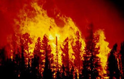 حريق غابات كاليفورنيا يدمر  منزلًا ويهدد المزيد