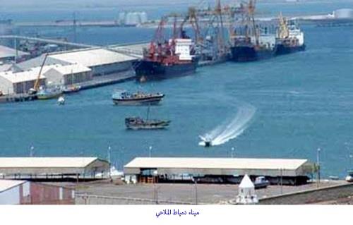 ميناء دمياط يستقبل سفينة حاويات و سفن بضائع عامة