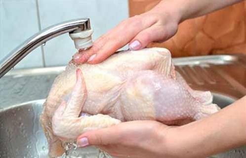 حقيقة صادمة غسيل الدجاج قد ينشر بكتيريا السالمونيلا في مطبخك