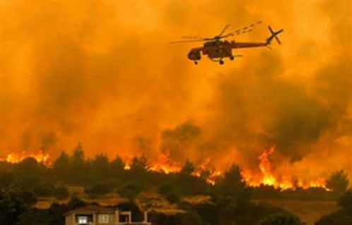 القنصلية العامة في لوس أنجلوس تطمئن على الجالية في أعقاب حرائق الغابات