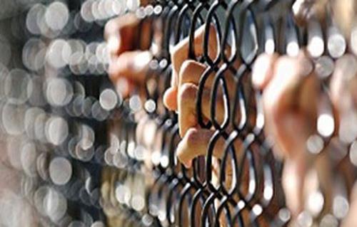تجديد حبس المتهمين في قضية تجارة الأعضاء بالسيدة زينب  يومًا