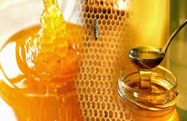 دراسة: 75٪ من عسل النحل في العالم به مبيد حشري - بوابة الأهرام
