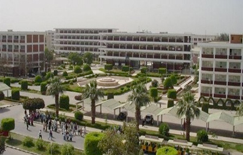 جامعة المنيا تنظم ندوة تثقيفية للطلاب حاوروا خلالها «بيت العائلة