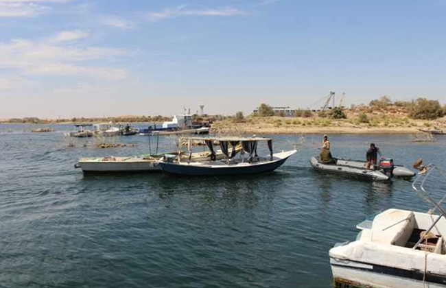 مسطحات السد العالي تحبط تهريب  طن أسماك من بحيرة ناصر 