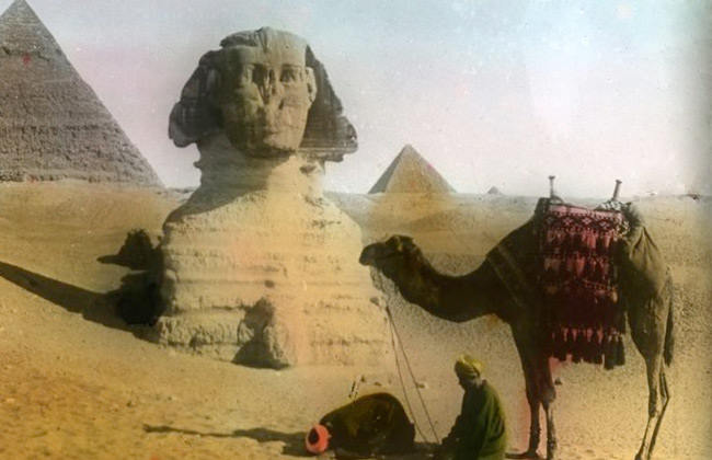 مظلات هيرس راف ومرواح النخيل كيف قاوم المصريون الحر قبل  سنة