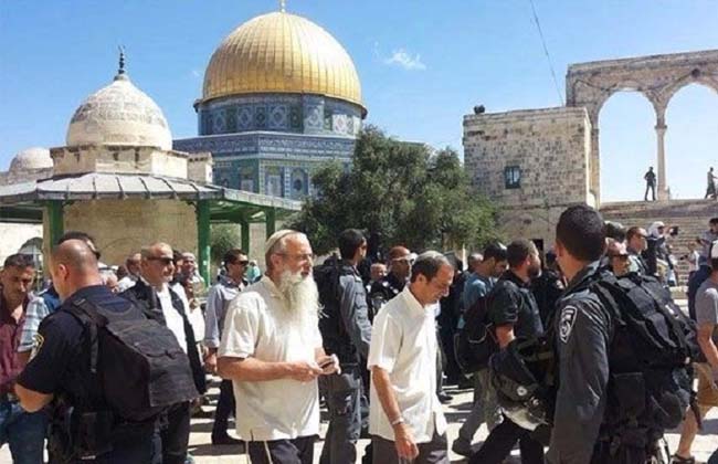 عشرات المُستوطنين يقتحمون المسجد الأقصى ودعوات فلسطينية للاعتكاف فيه قبل مسيرة ;الأعلام;
