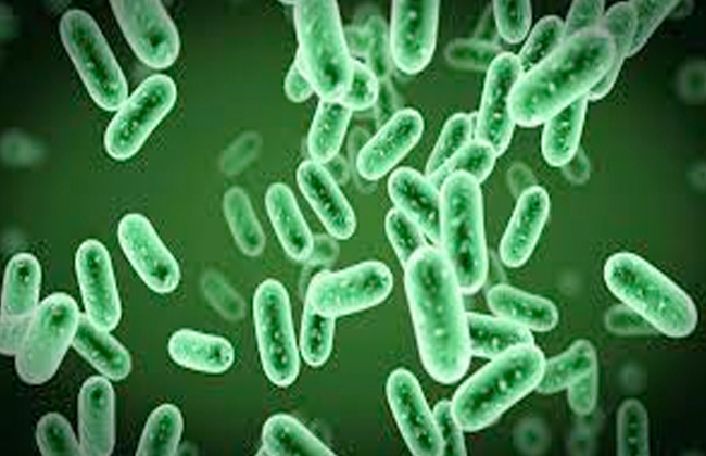 تطوير مادة جديدة لمحاربة البكتريا لعلاج الأمراض المعدية