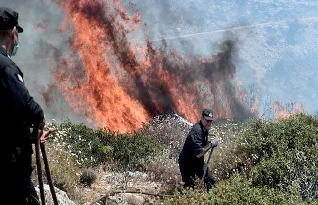 اليونان تأمر بإخلاء منازل مع اقتراب حريق غابات من أثينا